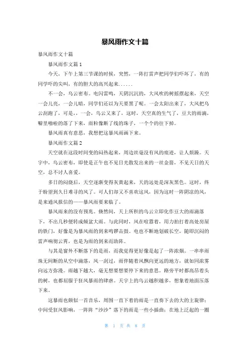 暴风雨作文十篇