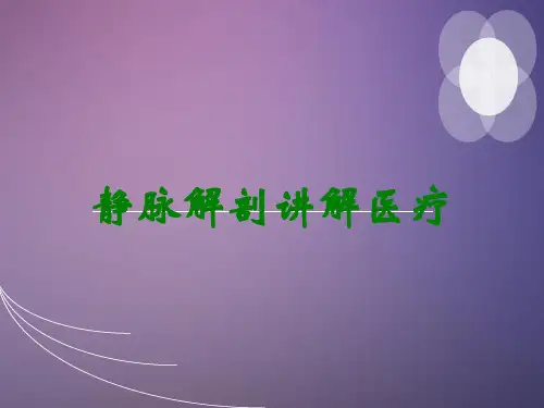 静脉解剖讲解医疗