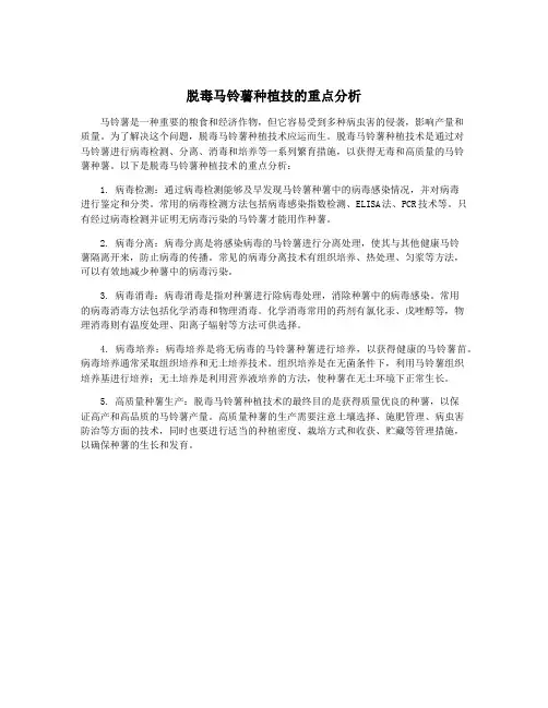 脱毒马铃薯种植技的重点分析