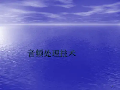 音频处理技术ppt课件