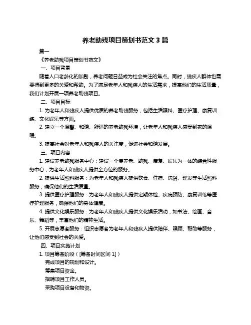 养老助残项目策划书范文3篇