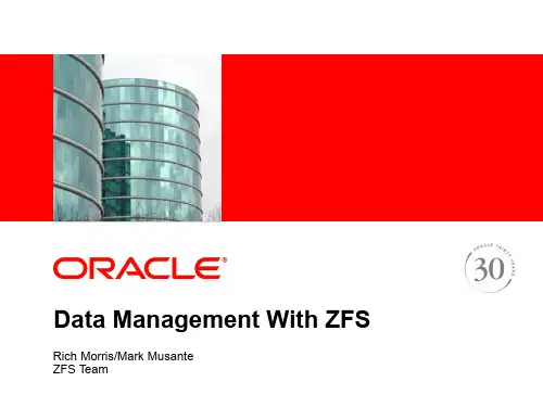 ZFS数据管理与Oracle Solaris 11文件系统说明书