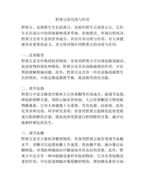 野黄豆的功效与作用