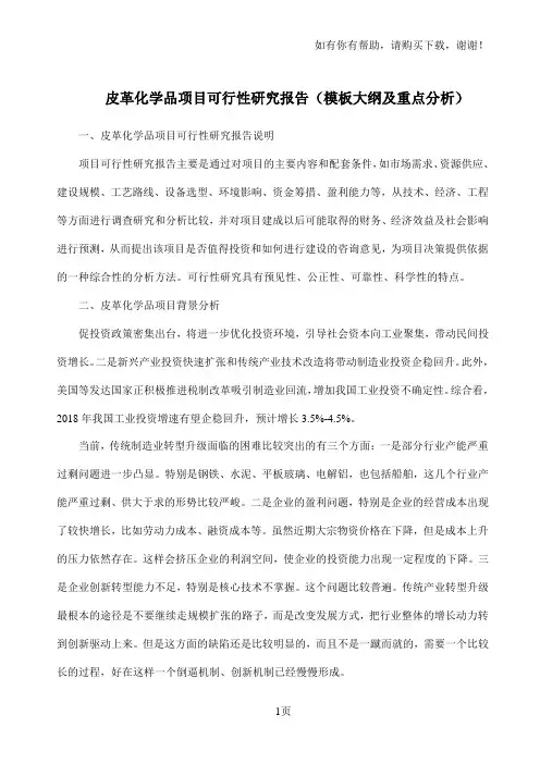 皮革化学品项目可行性研究报告模板大纲及重点分析