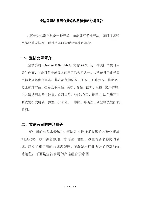 宝洁公司的产品组合策略和品牌策略分析报告