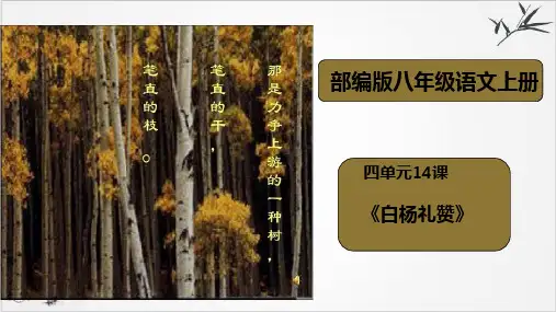 部编语文上册八年级《白杨礼赞》实用版