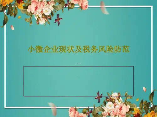 小微企业现状及税务风险防范21页PPT