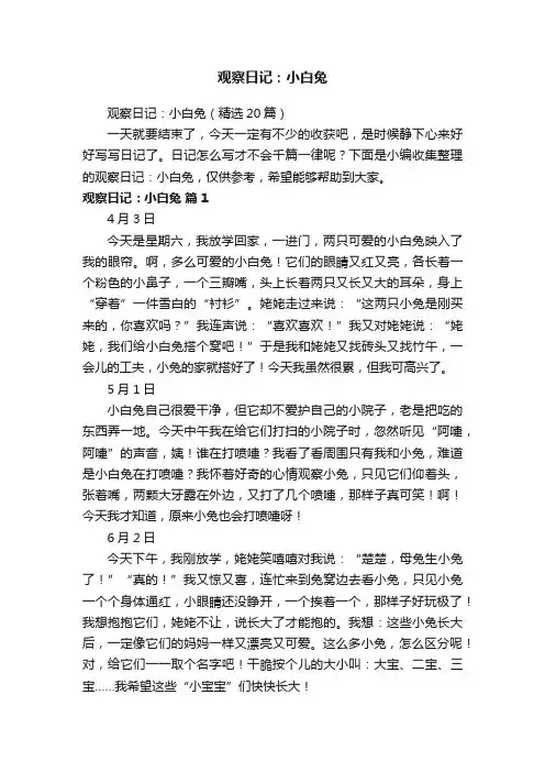 观察日记：小白兔（精选20篇）