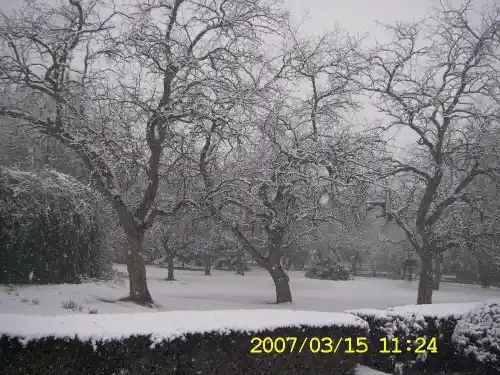 鲁迅_《雪》PPT课件