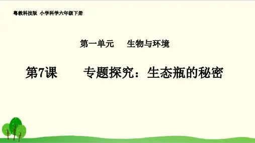 粤教版科学PPT《专题探究：生态瓶的秘密》优秀-PPT1