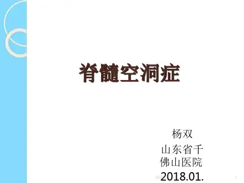 脊髓空洞症与中央管扩张ppt课件