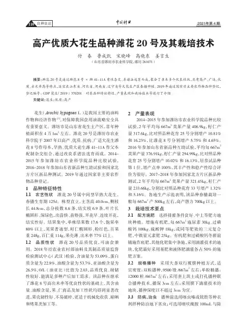 高产优质大花生品种潍花20号及其栽培技术