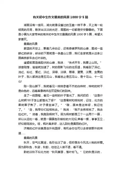 有关初中生作文最美的风景1000字5篇