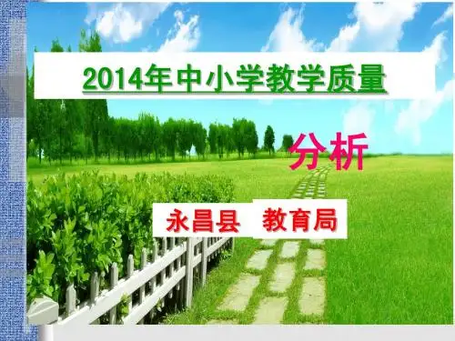 2014年中小学成绩分析