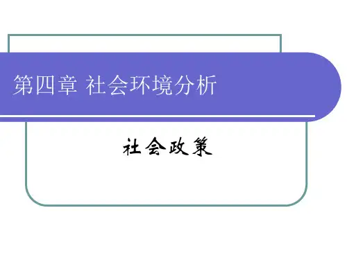 第四章 社会环境分析：社会政策
