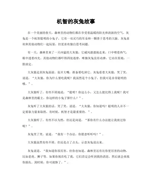 机智的灰兔故事