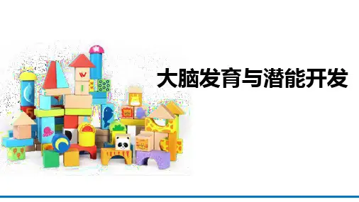 儿童潜能开发：大脑发育与潜能开发