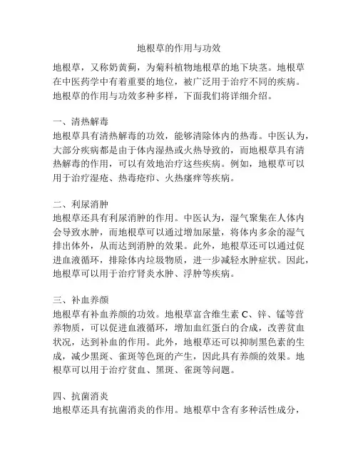 地根草的作用与功效