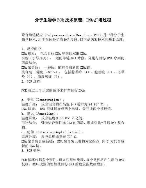 分子生物学PCR技术原理：DNA扩增过程