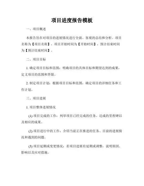 项目进度报告模板