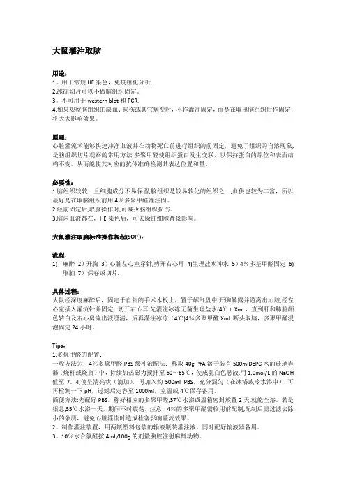 大鼠灌注取脑