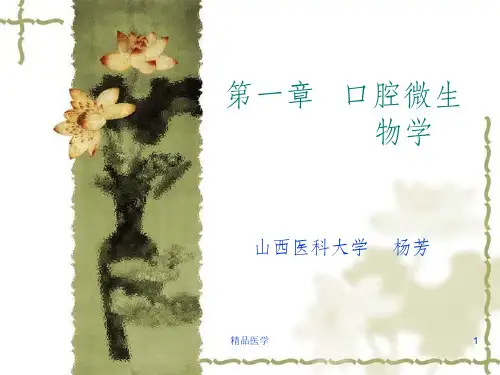 《口腔微生物学》PPT课件