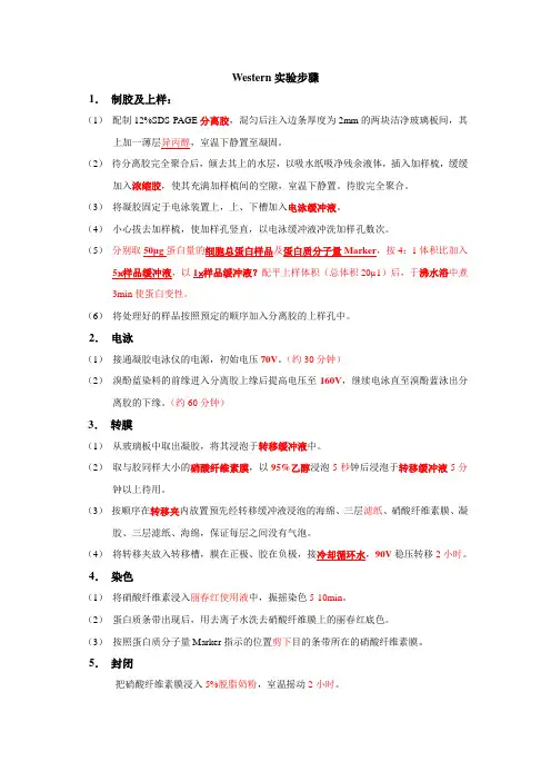 western试验步骤及注意事项
