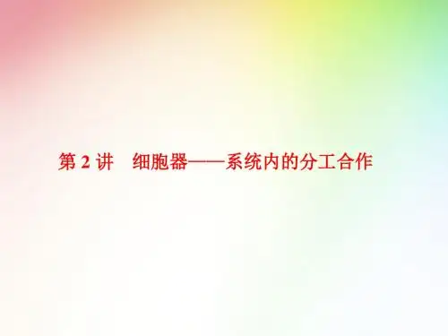 高中生物必修一     细胞器——系统内的分工合作