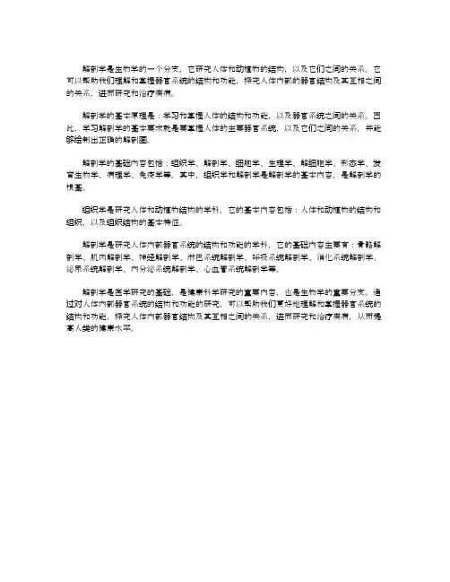 解剖学基础