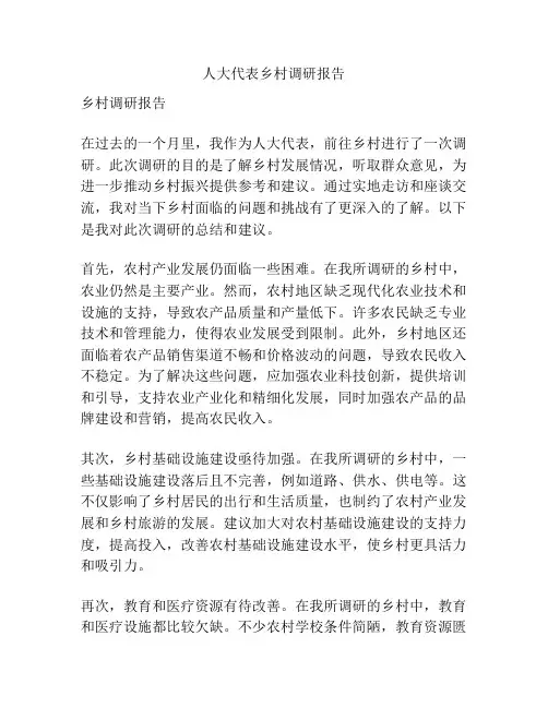 人大代表乡村调研报告