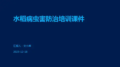 水稻病虫害防治培训课件