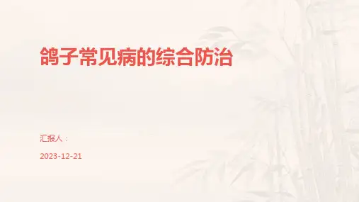 鸽子常见病的综合防治