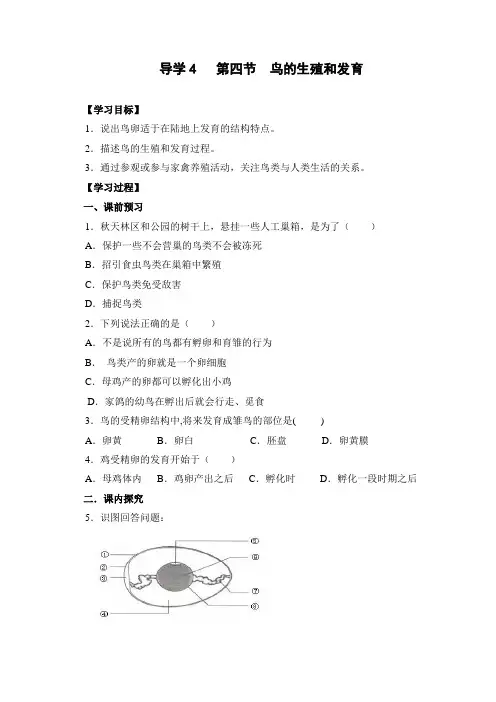 鸟类的生殖和发育学案1