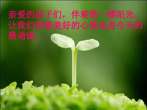 晨诵课件小种子