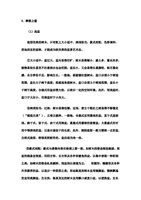 树桩上盆