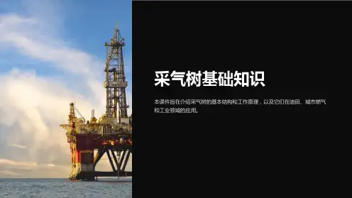 《采气树基础知识》课件