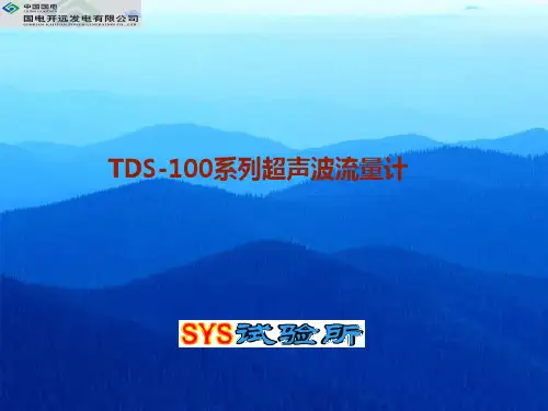 TDS-100系列超声波流量计