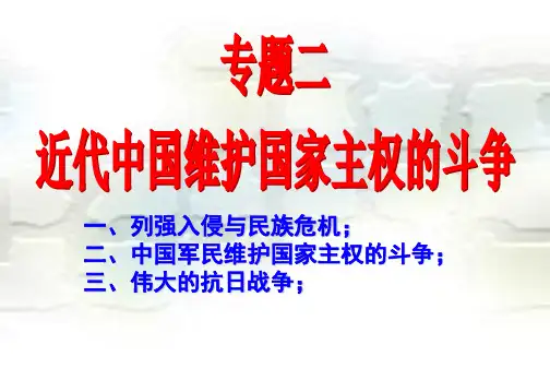 民族危机