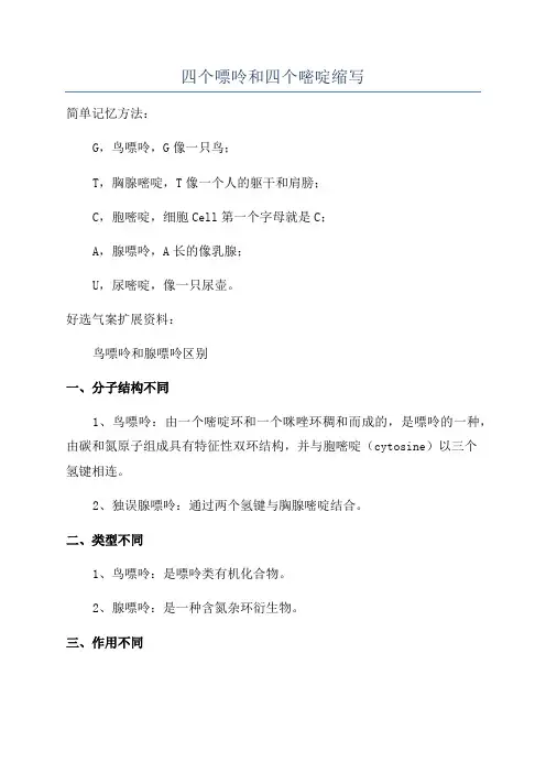 四个嘌呤和四个嘧啶缩写