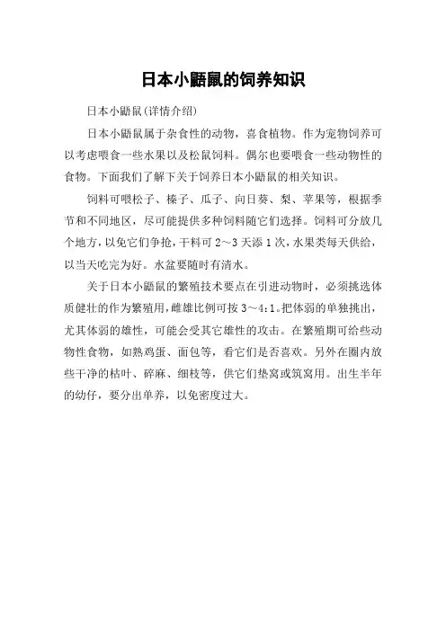 日本小鼯鼠的饲养知识