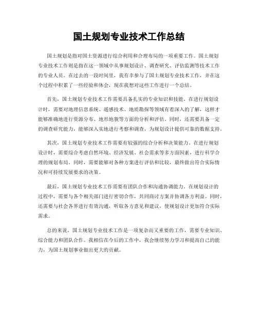 国土规划专业技术工作总结