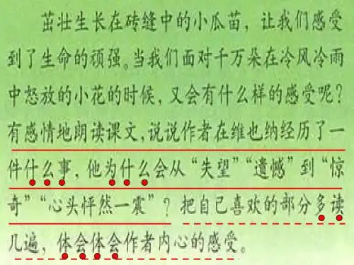 20、花的勇气(完美版)