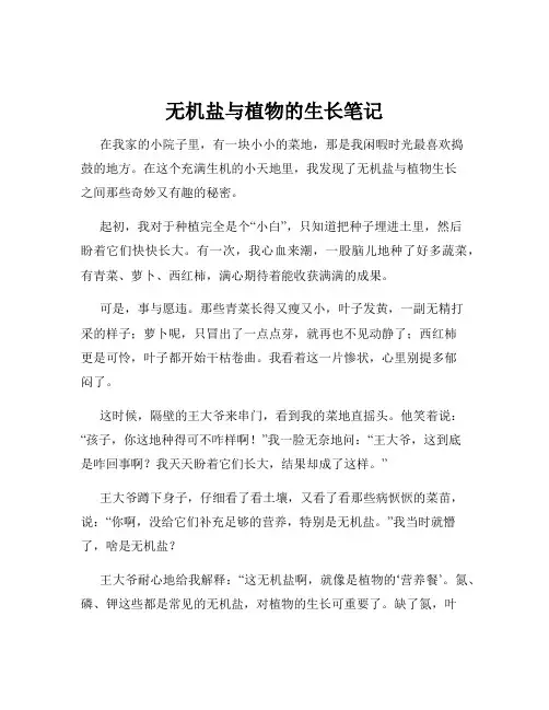 无机盐与植物的生长笔记