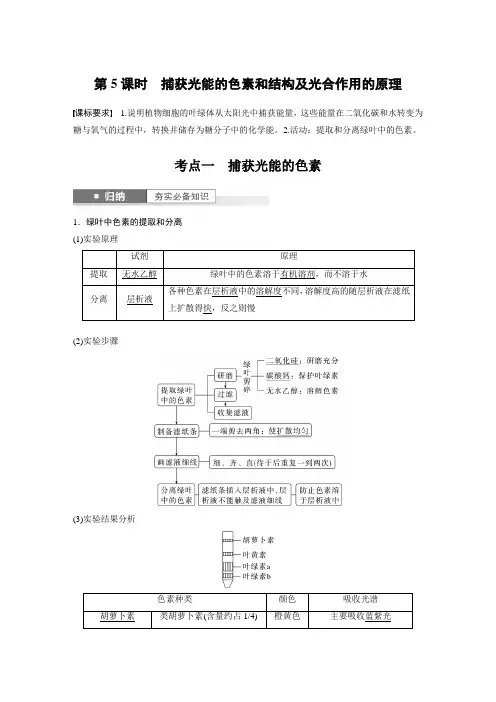 2024年高考生物一轮复习(新人教版) 第3单元 第5课时 捕获光能的色素和结构及光合作用的原理
