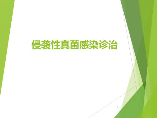 肺部真菌感染PPT精选课件