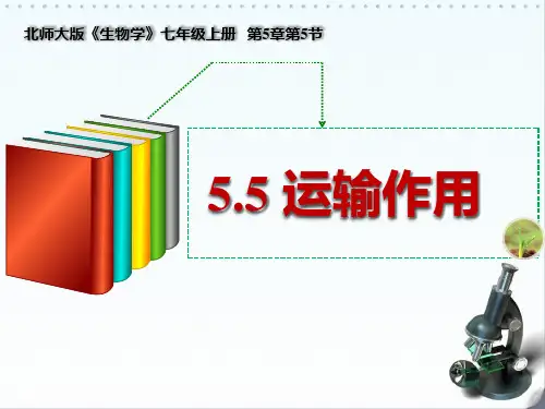 北师大版七年级生物上册 运输作用 新课件