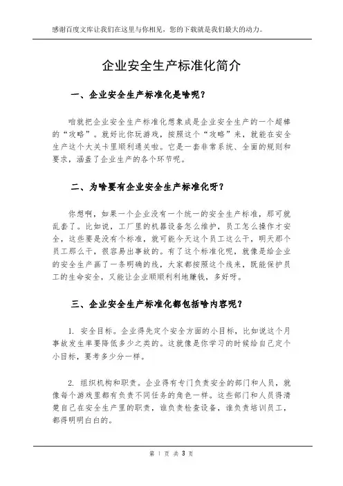 企业安全生产标准化简介