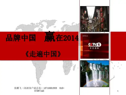 品牌中国赢在2014-CCTV-4文传世纪出品