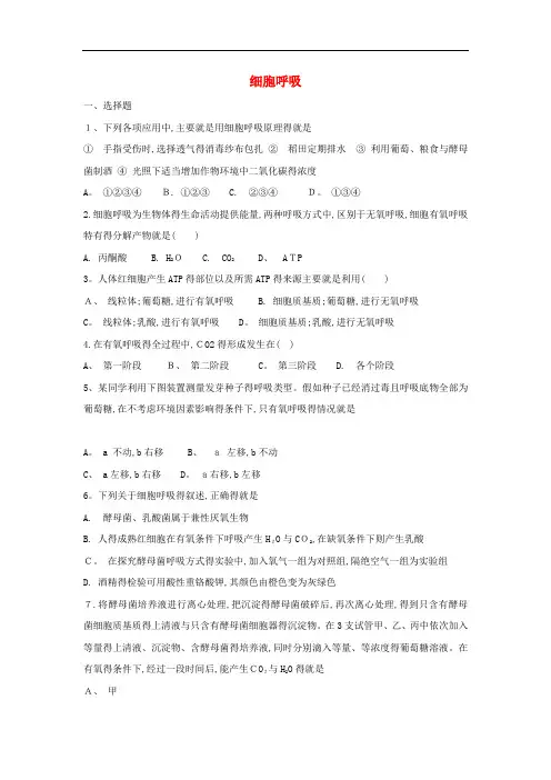 高三生物一轮复习第9讲细胞呼吸4专题练