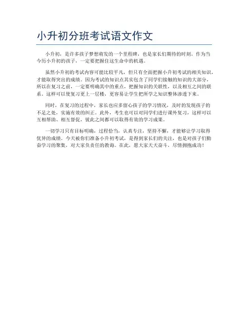 小升初分班考试语文作文